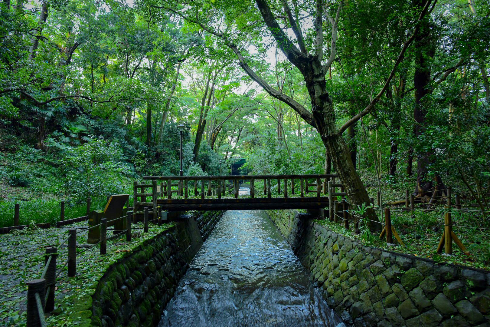 恵比寿 美容室 | 恵比寿 美容院 | Arcoiris(アルコイリス