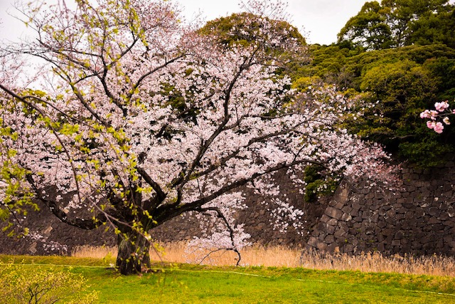 恵比寿 美容室 | 恵比寿 美容院 | Arcoiris(アルコイリス) 