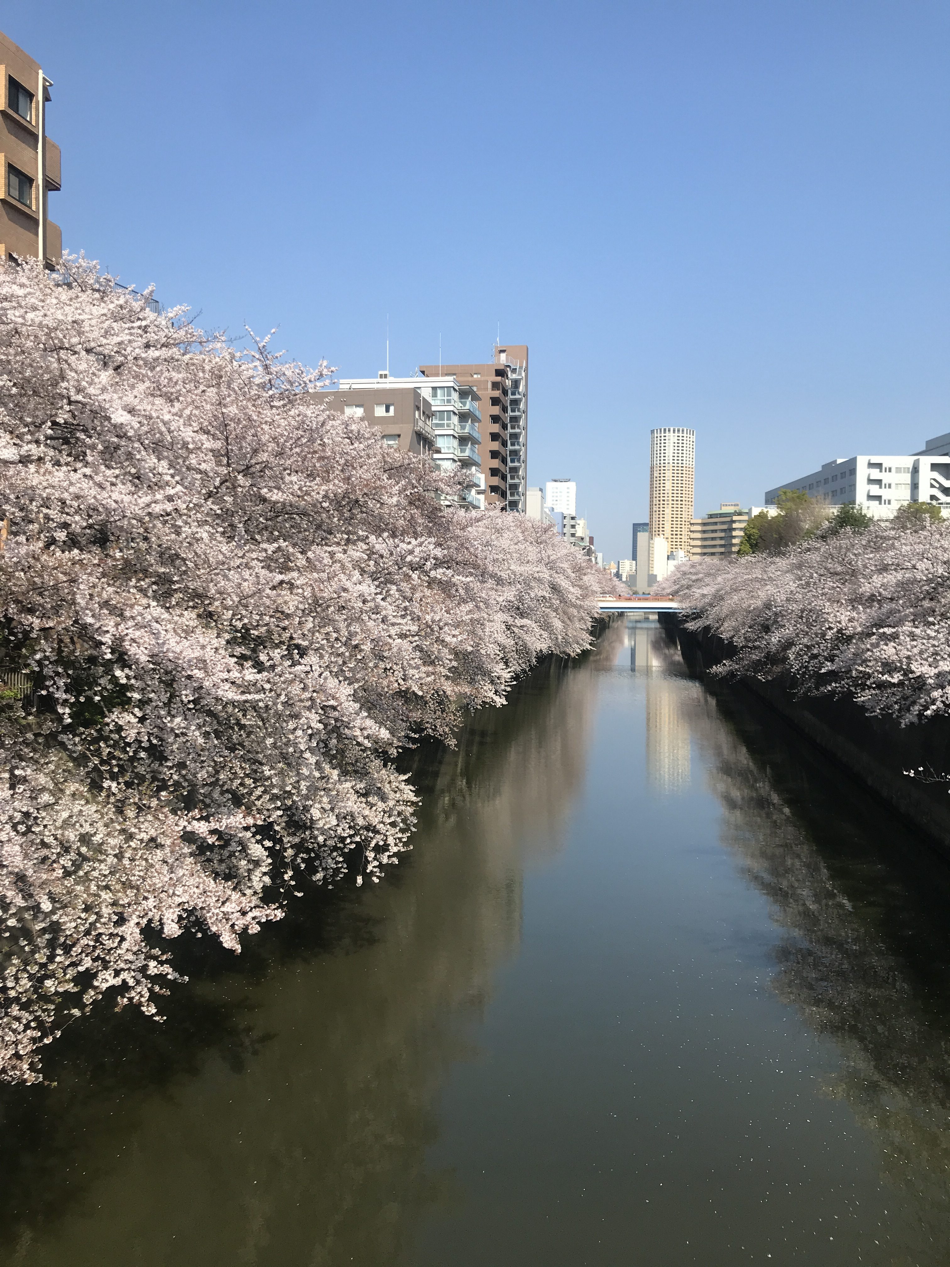 恵比寿 美容室 恵比寿 美容院 Arcoiris(アルコイリス)